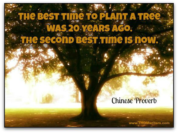 The best time to plant a tree was 20 years ago. The second best time is now. – Chinese Proverb